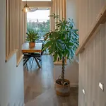 Domusbiri 4* Браччано