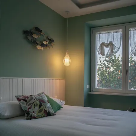 Guest house Domusbiri *