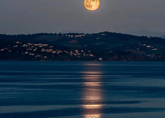 Πανσιόν Domusbiri